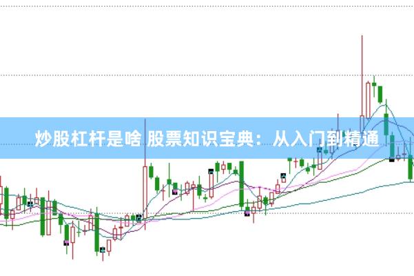 炒股杠杆是啥 股票知识宝典:从入门到精通