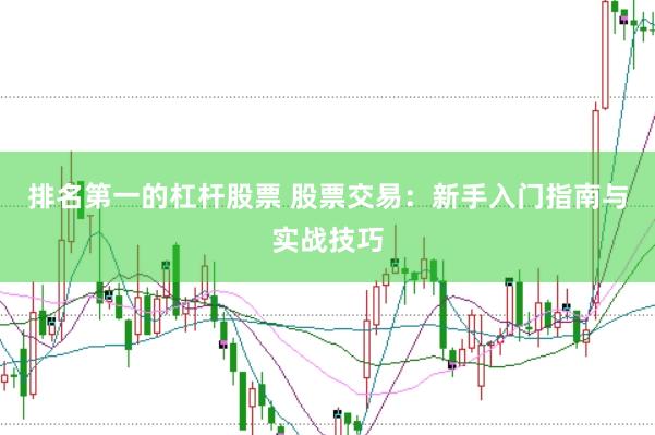 排名第一的杠杆股票 股票交易:新手入门指南与实战技巧